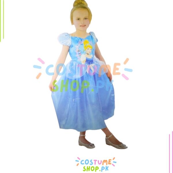 Cinderella Costume