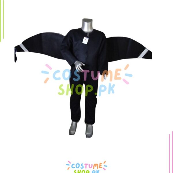 Crow Costume