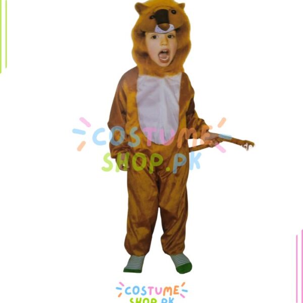 Lion Kids Costume