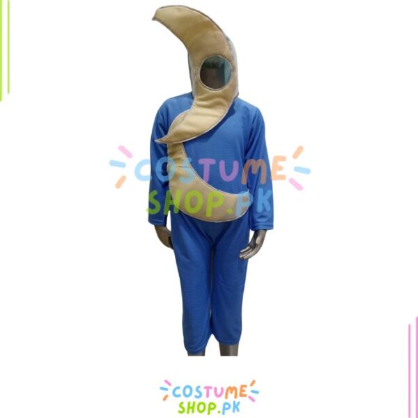 Moon costume