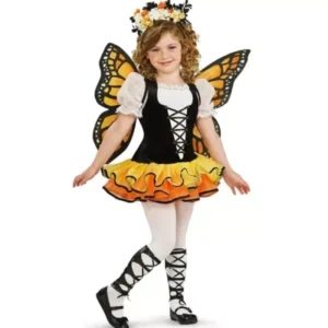 Butterfly Costume