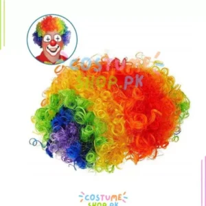 Rainbow Clown Wig