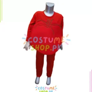 Tomato Costume