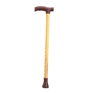 Old Man Stick