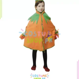 Pumpkin Costume