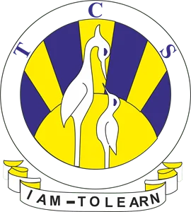 The City School Logo - Costume Client