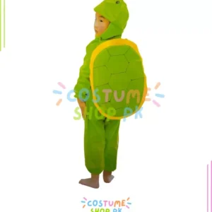 Turtle Costume