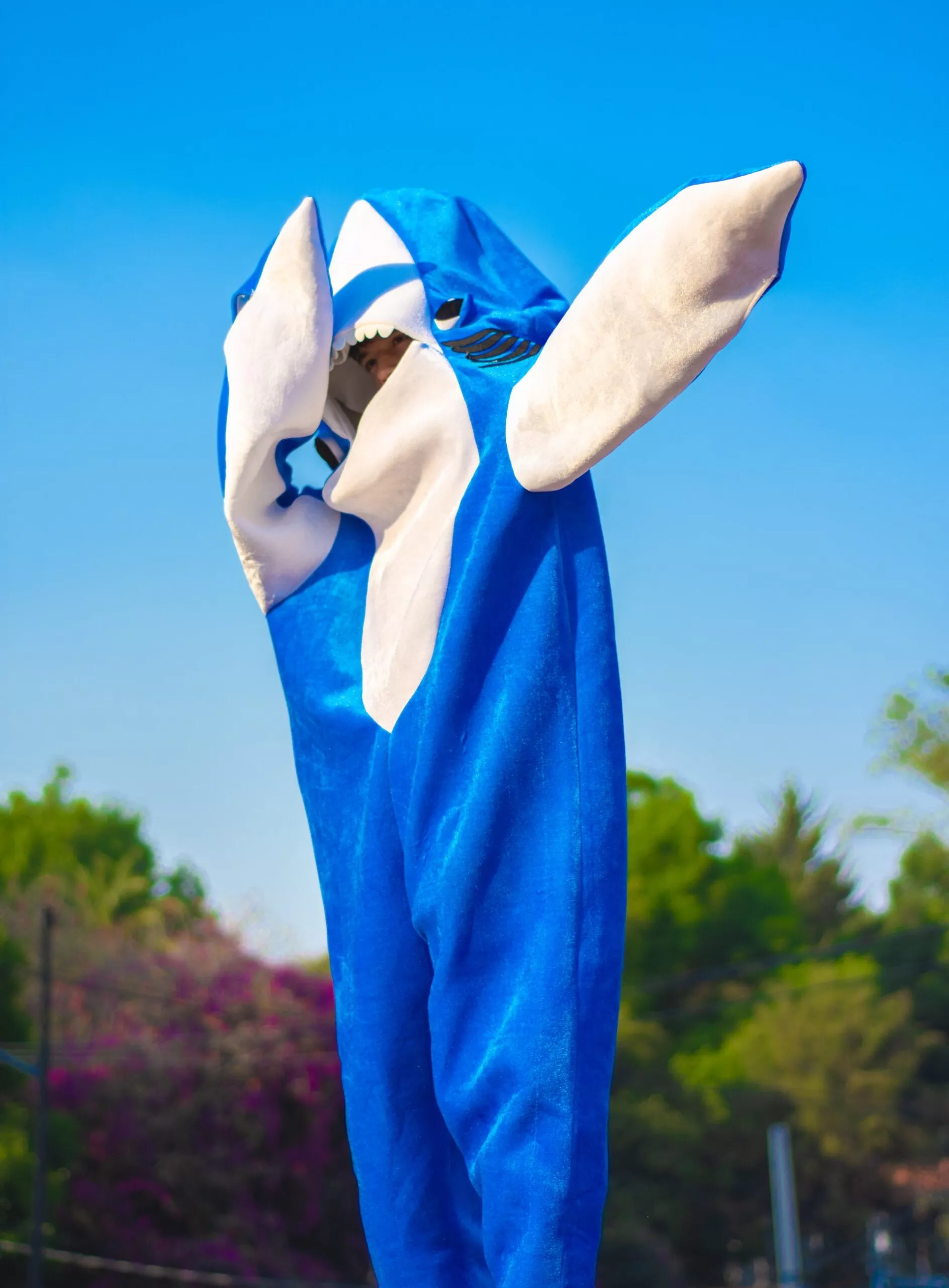 Shark Mascot Costume